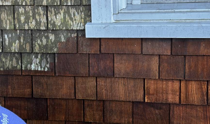  Cover the World Painting