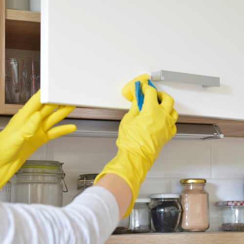House Cleaning