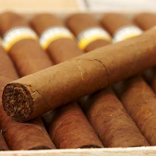 Cigars