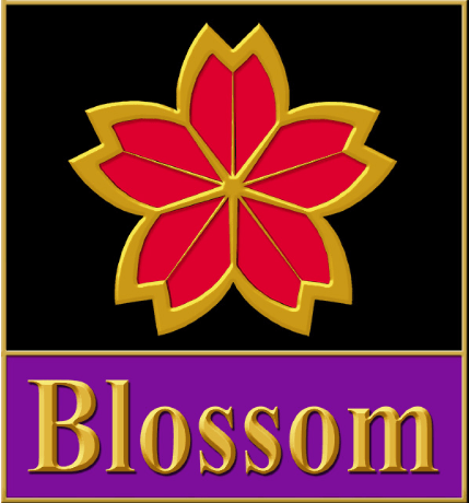 Blossom Car Center