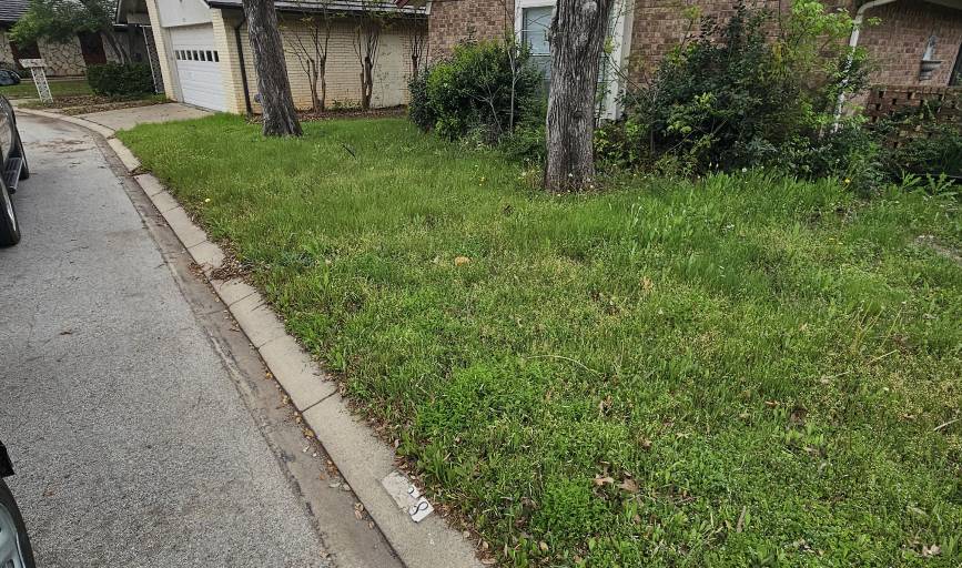 Crazy Grass Lawn Care