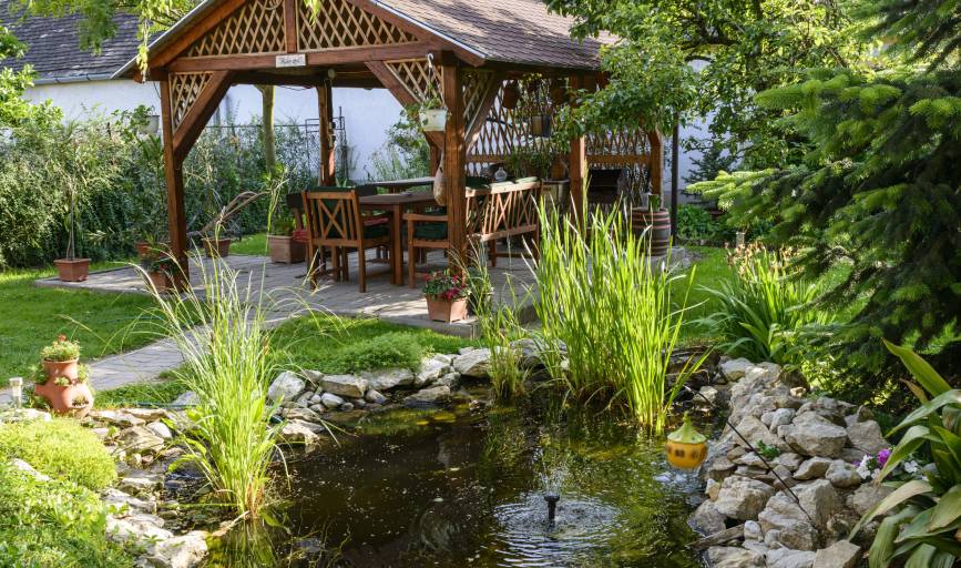 Crazy Grass Lawn Care