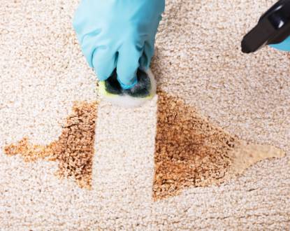 CARPET CLEANING