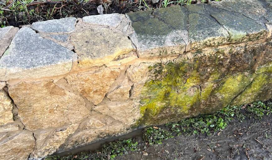 Dallas Elite Surface Clean