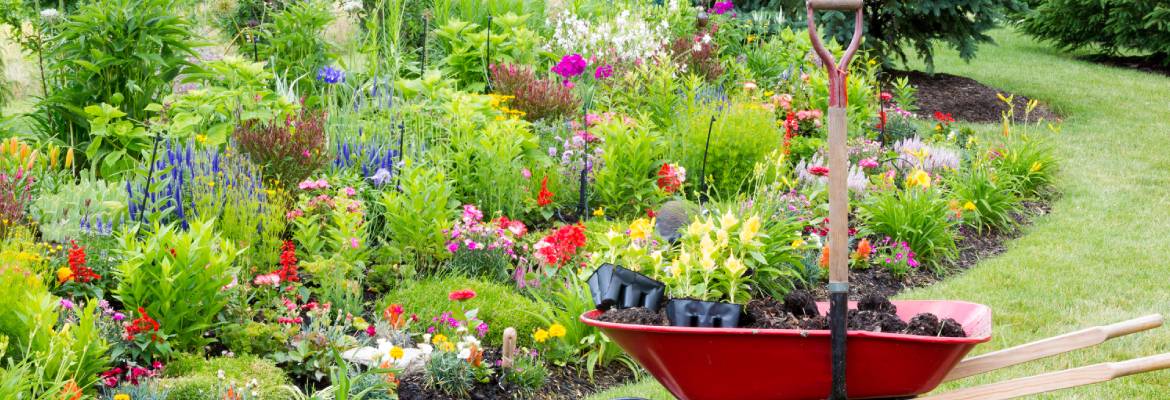 Handyman Dragon and Sweet Pea Ink