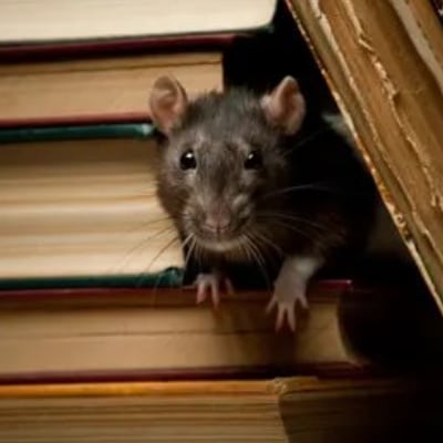 MOUSE CONTROL PRODUCTS