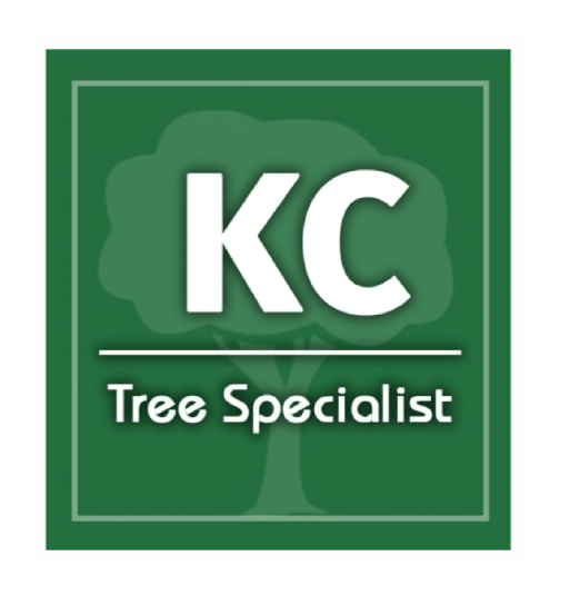 KC Tree Specialist