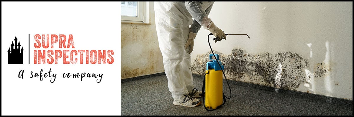 Mold Remediation/Testing