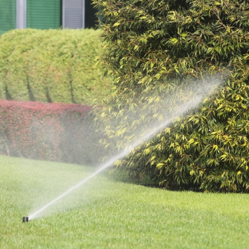 Irrigation System Services