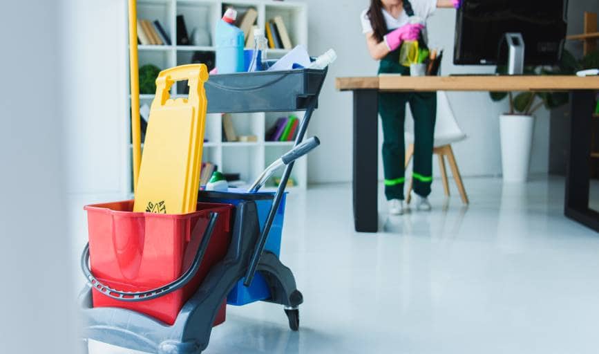 Xic Cleaning Service