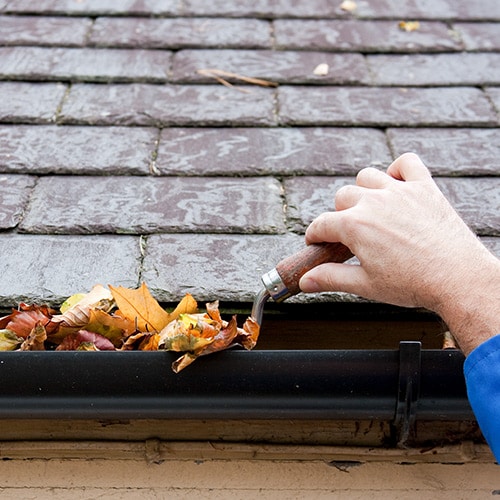 Gutter Cleaning