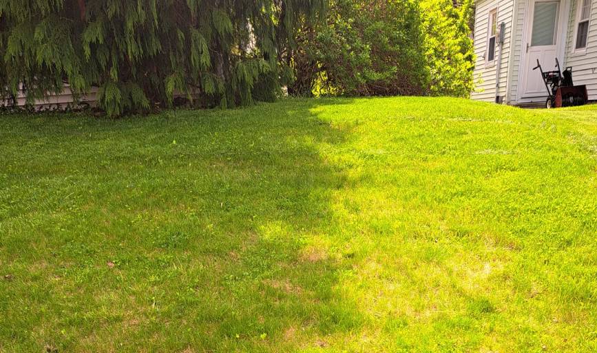 Premium Cut Landscaping