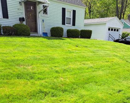 RESIDENTIAL LANDSCAPING