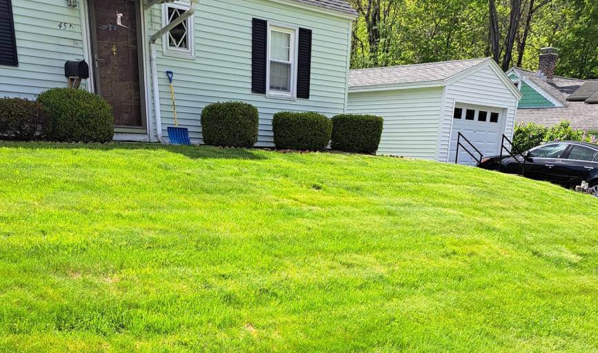 Premium Cut Landscaping