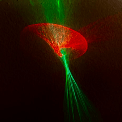 HOLIDAY ART PHOTOGRAPHY