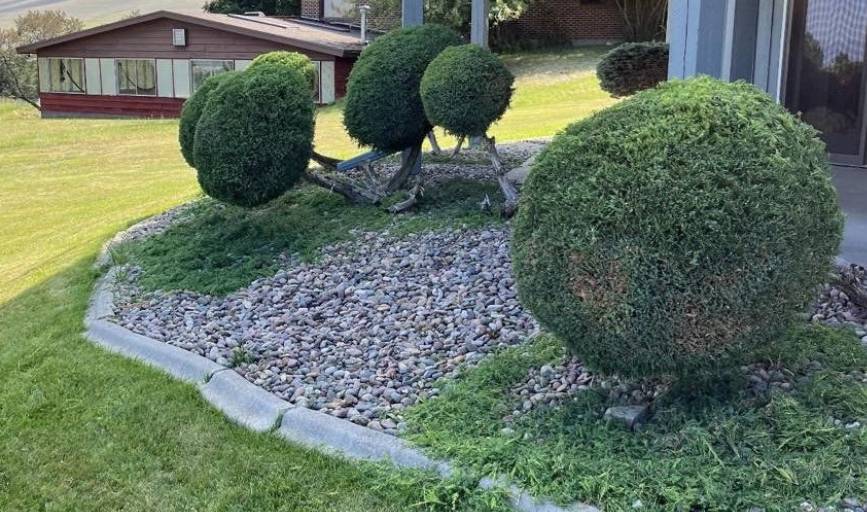 Lupine Landscape LLC