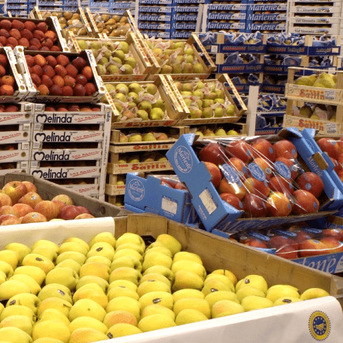Fresh Fruit