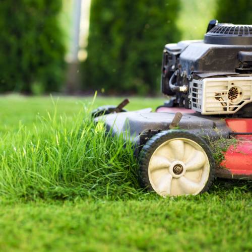 Lawn Mowing