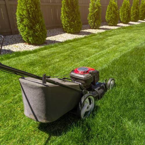 Lawn Maintenance