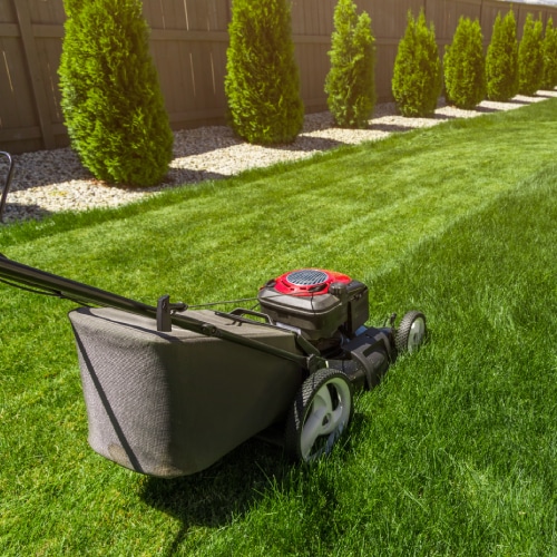 Lawn Mowing Service