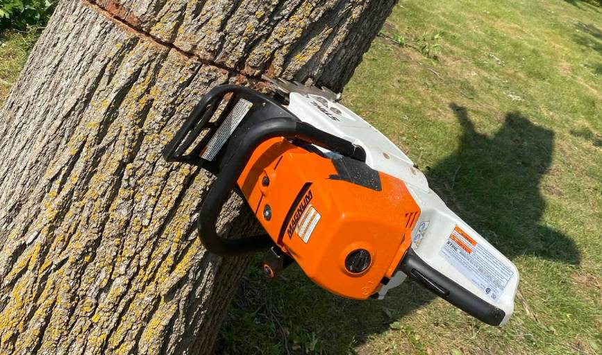 Mr Nice Guy Tree Service