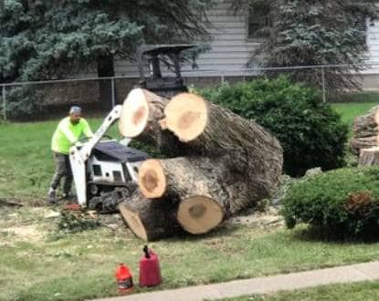 STUMP REMOVAL