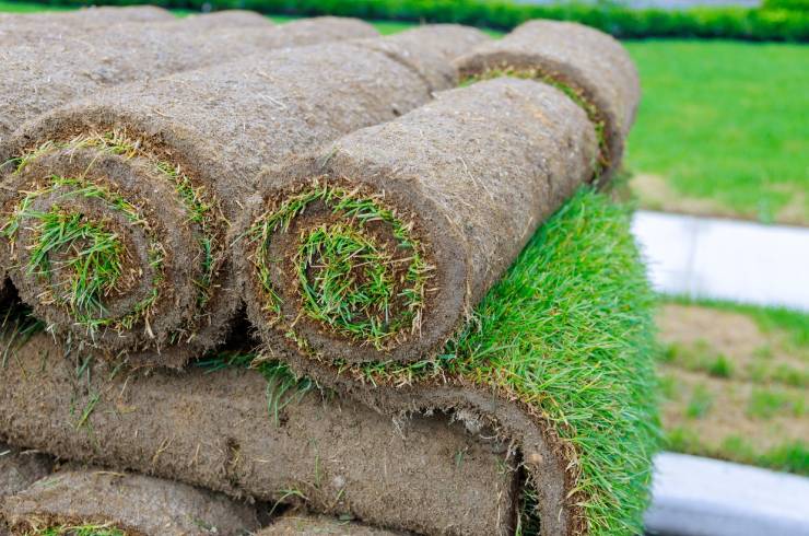 Living Art Landscapes LLC