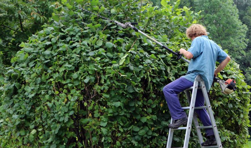 Living Art Landscapes LLC