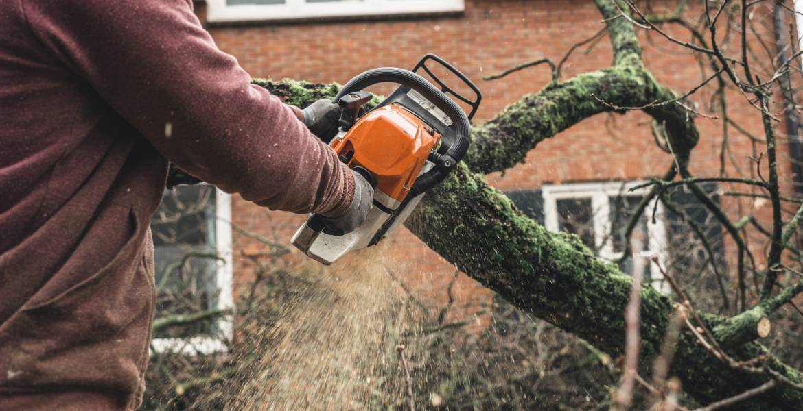 Double JJ Tree Service