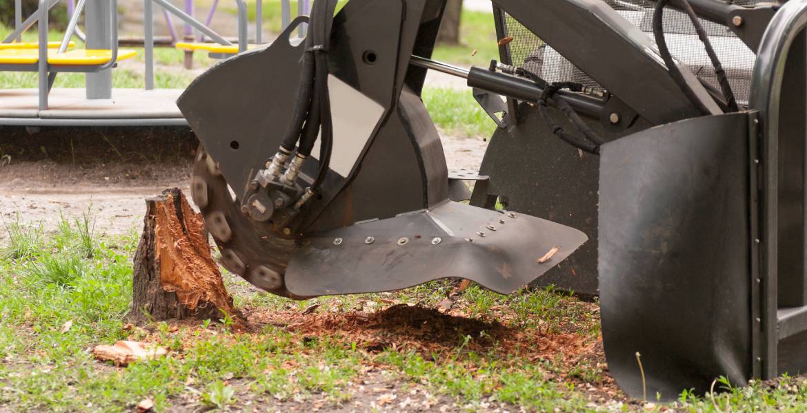 Double JJ Tree Service