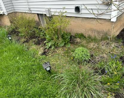 LAWN CUTTING SERVICE