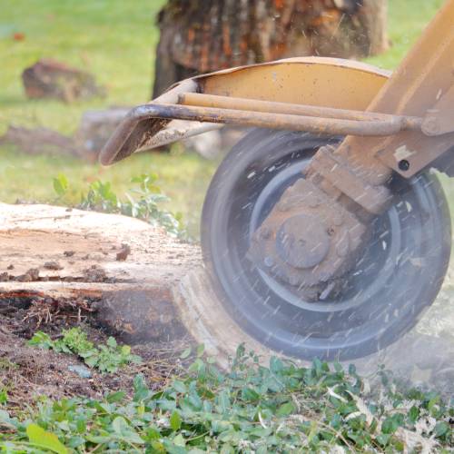 Stump Grinding