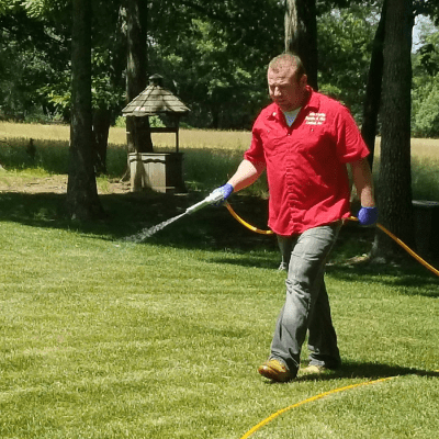 Mosquito, Flea and Tick Extermination