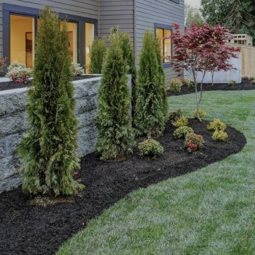 Landscape Construction