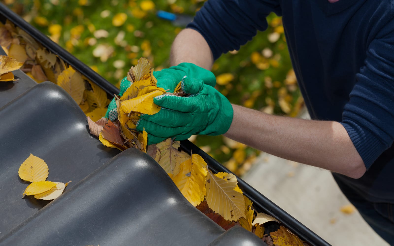 Gutter Cleaning
