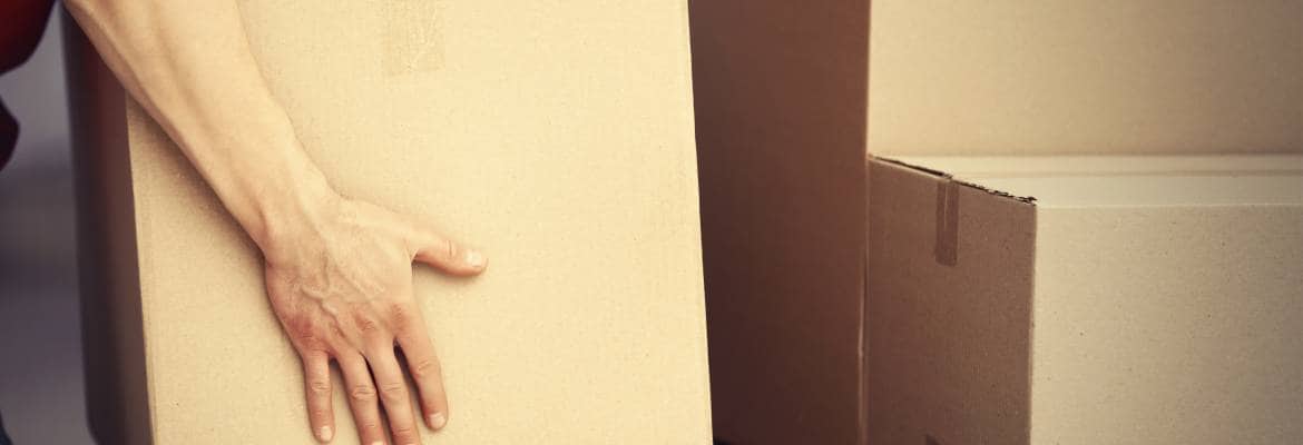 Edgardo And Son Movers And Delivery