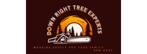 Down Right Tree Experts 