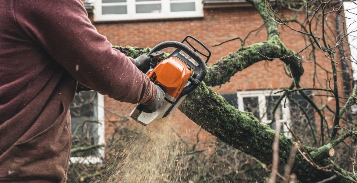 Down Right Tree Experts 