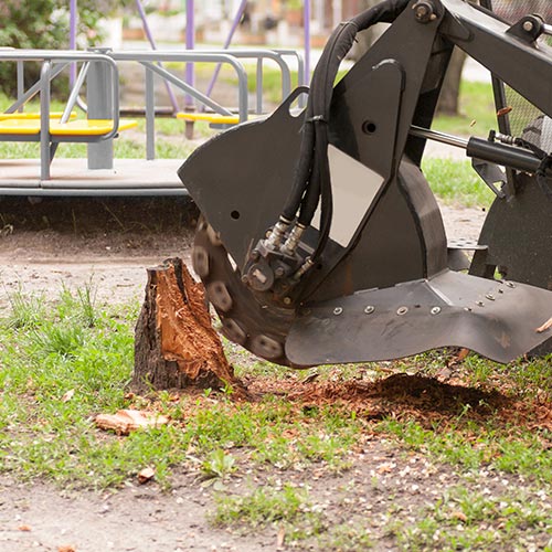 Stump Grinding