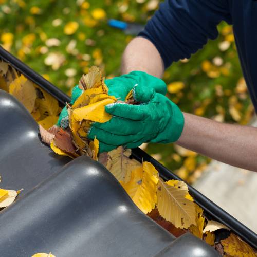 Gutter Cleaning