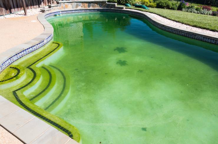 Pool Sharks Cleaning and Maintenance