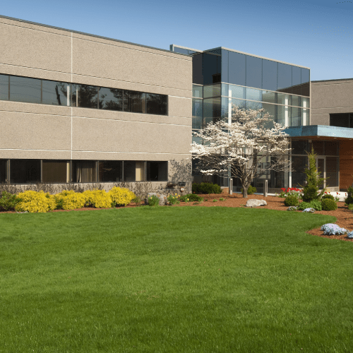 Commercial Landscaping Service