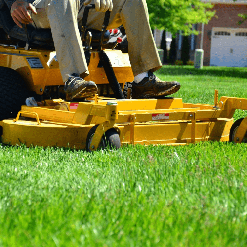 Lawn Care Maintenance