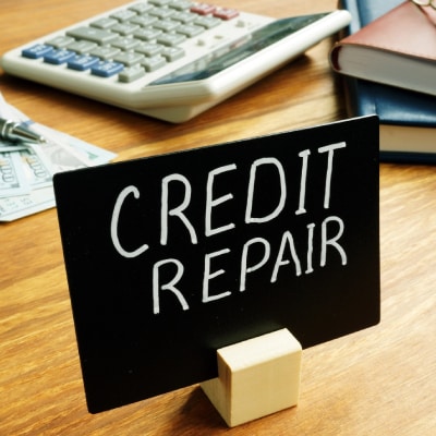 CREDIT REPAIR SERVICES