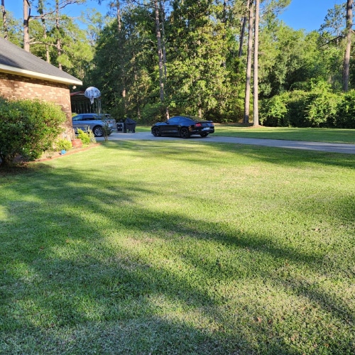 Lawn Care