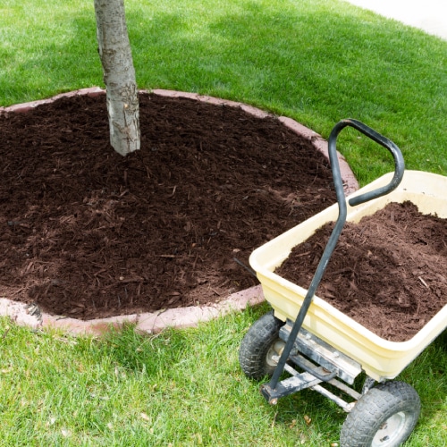 Mulching Services