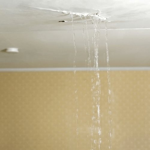 Water Leak