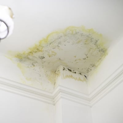 WATER DAMAGE RESTORATION
