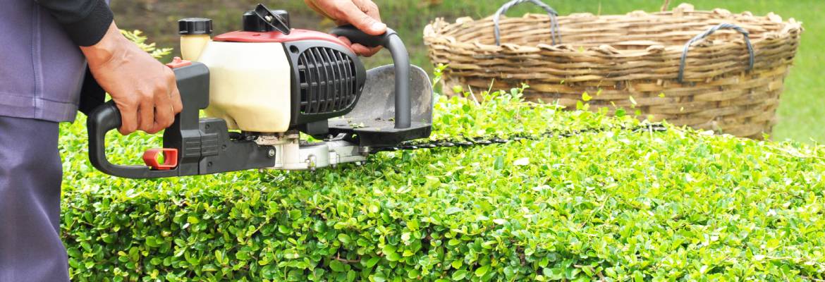 JR Landscaping & Maintenance