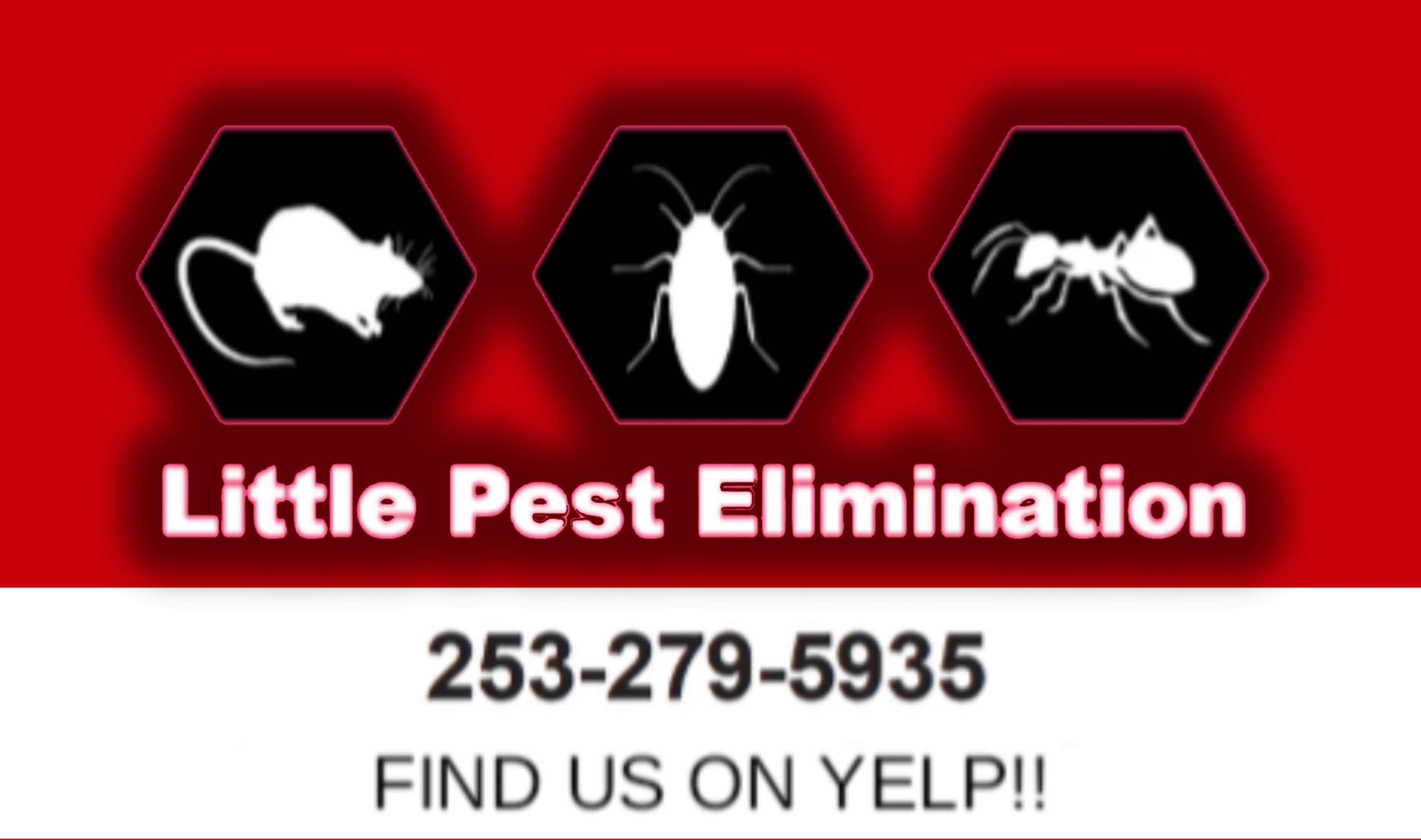 Little Pest Elimination